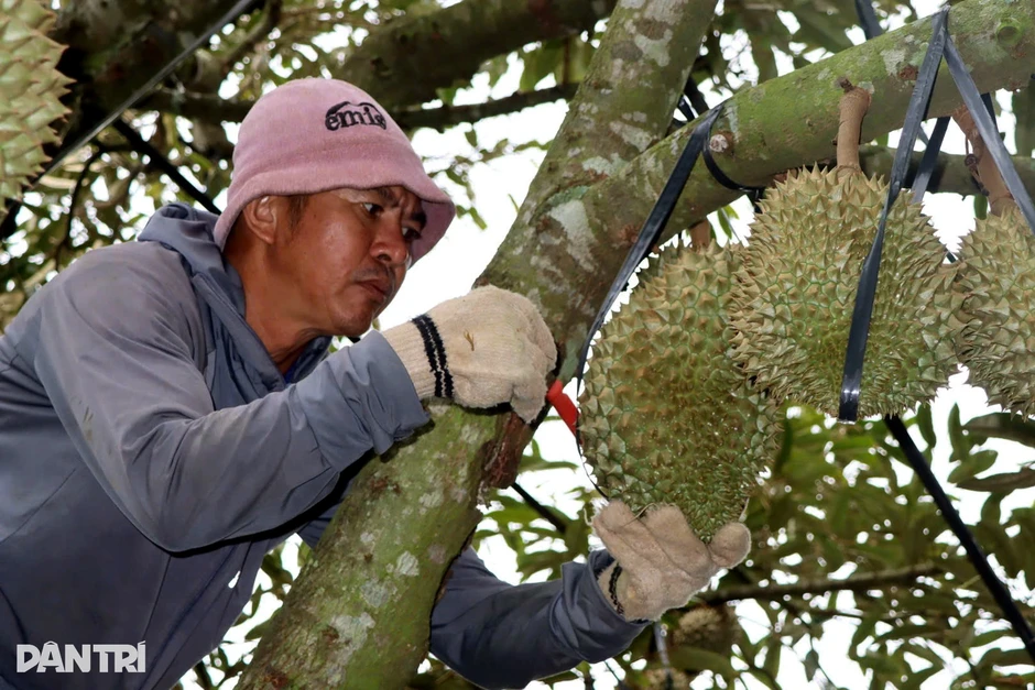 Kiếm tiền triệu mỗi ngày từ tiếng gõ dò "quả tỷ đô"