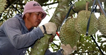 Kiếm tiền triệu mỗi ngày từ tiếng gõ dò "quả tỷ đô"