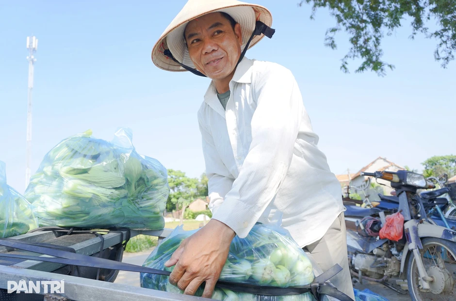 Làng rau trăm tuổi ven sông giúp nông dân “hái ra tiền” mỗi ngày Làng rau trăm tuổi ven sông giúp nông dân “hái ra tiền” mỗi ngày