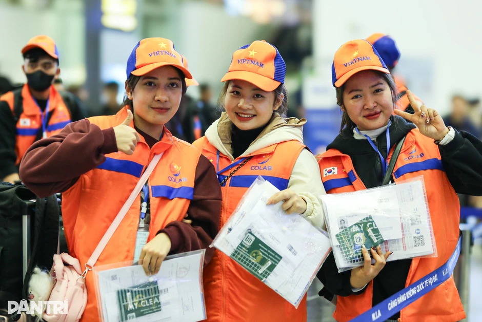Lao động Việt sang Hàn Quốc làm thời vụ buộc phải tham gia bảo hiểm tai nạn