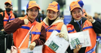 Lao động Việt sang Hàn Quốc làm thời vụ buộc phải tham gia bảo hiểm tai nạn