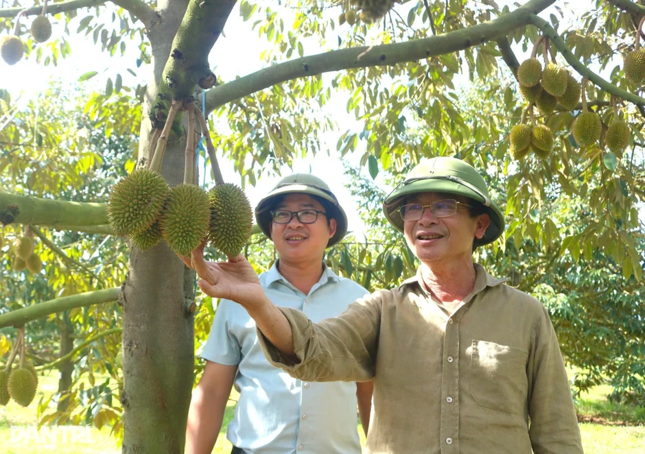 Lão nông thành tỷ phú từ số vốn ít ỏi và vài vật dụng mang theo từ quê