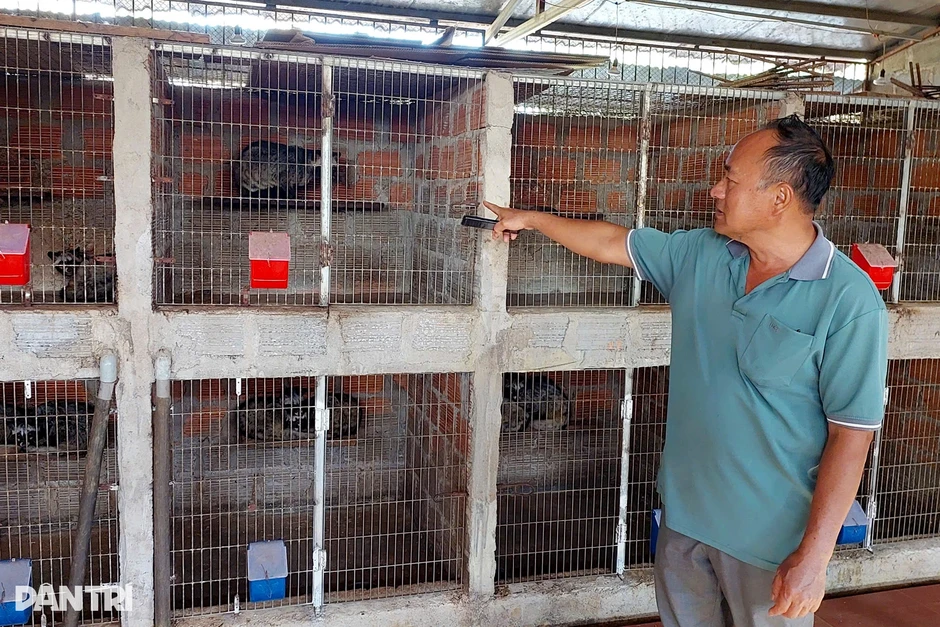 Lão nông thu tiền tỷ mỗi năm, làm cà phê đặc sản từ động vật hoang dã Lão nông thu tiền tỷ mỗi năm, làm cà phê đặc sản từ động vật hoang dã