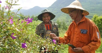Lão nông ước trẻ lại 15 tuổi để khôi phục đồi cây gắn liền với tuổi thơ