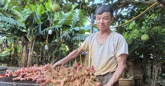 Loại cây cho lãi gấp 6 lần trồng mía, lão nông “đút túi” nửa tỷ đồng/năm