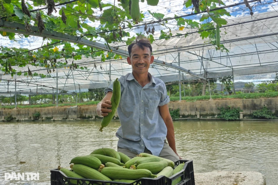 Mỗi đêm chỉ ngủ 4 giờ, nông dân thu lãi 300 triệu đồng từ vùng đất hoang Mỗi đêm chỉ ngủ 4 giờ, nông dân thu lãi 300 triệu đồng từ vùng đất hoang