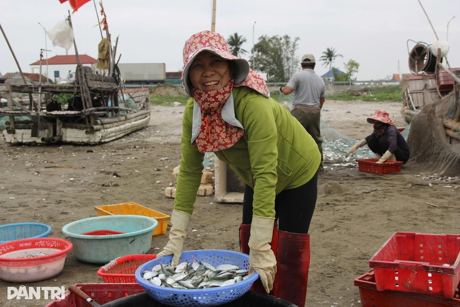 Mỏi tay gỡ cá trích, ngư dân thu tiền triệu trong buổi sáng Mỏi tay gỡ cá trích, ngư dân thu tiền triệu trong buổi sáng