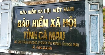 Một doanh nghiệp ở Cà Mau chậm đóng bảo hiểm 182 tháng