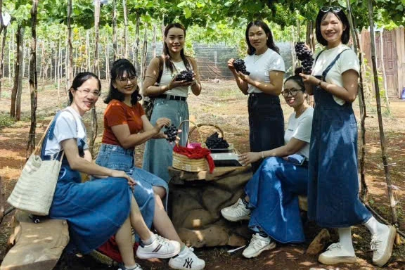 Nam thạc sĩ về quê phá cà phê trồng nho, thu tiền tỷ mỗi năm Nam thạc sĩ về quê phá cà phê trồng nho, thu tiền tỷ mỗi năm