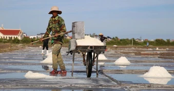 Nghề lạ, nắng cháy da thì dạ hân hoan, mưa mát mặt là lòng héo hắt