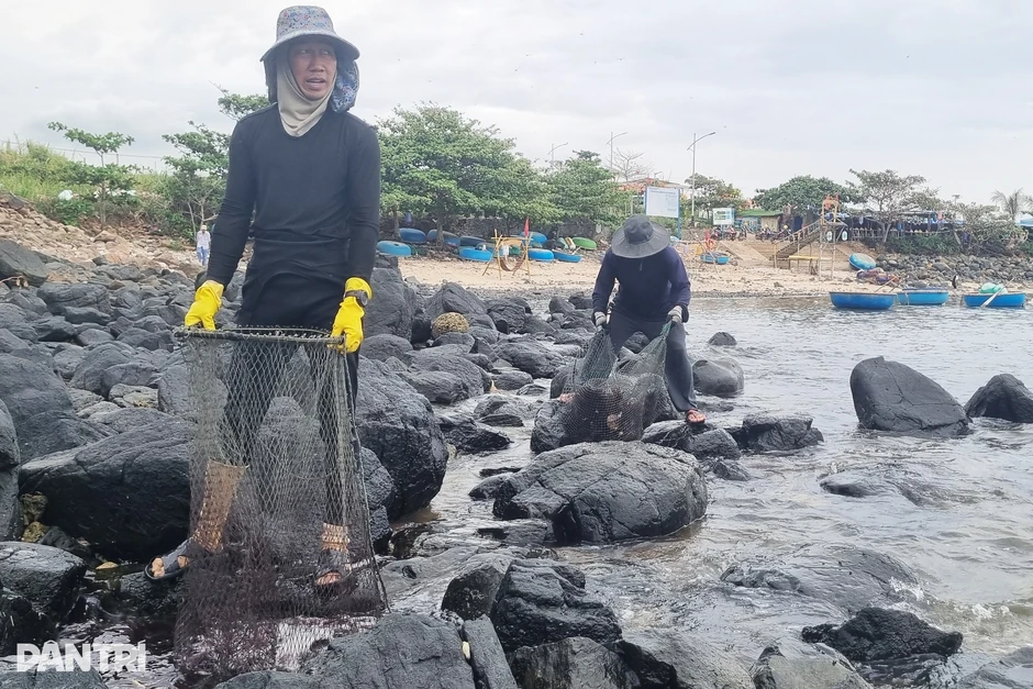 Ngư dân "lượm" tiền triệu mỗi ngày từ nghề lặn biển bắt con đầy gai Ngư dân "lượm" tiền triệu mỗi ngày từ nghề lặn biển bắt con đầy gai