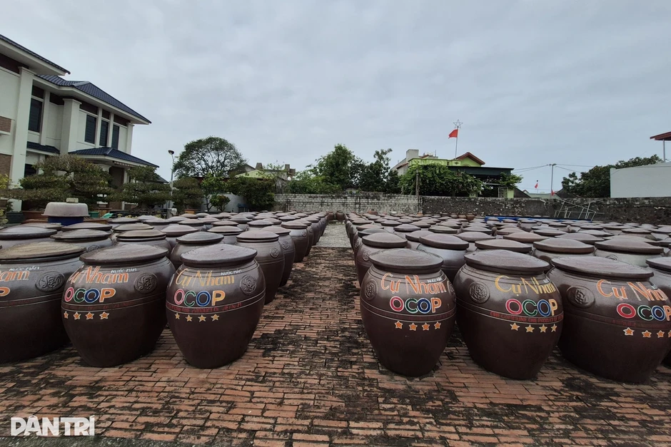 Người đàn ông kiếm tiền tỷ mỗi năm từ 600 chum sành và tỷ lệ “vàng” Người đàn ông kiếm tiền tỷ mỗi năm từ 600 chum sành và tỷ lệ “vàng”