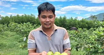 Người đàn ông về quê vợ tránh dịch, chớp cơ hội làm giàu từ đồi cằn