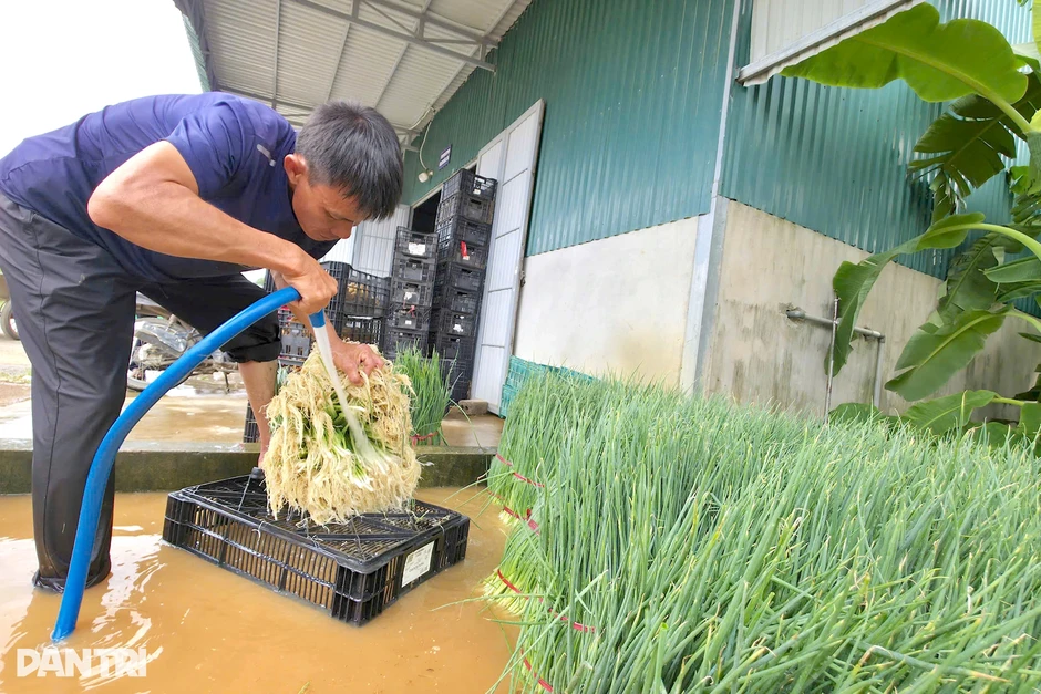 Người đưa rau quê vào siêu thị, tạo sinh kế cho hàng trăm hộ Người đưa rau quê vào siêu thị, tạo sinh kế cho hàng trăm hộ