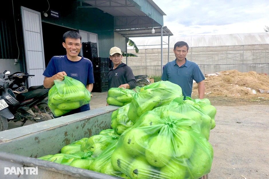 Người đưa rau quê vào siêu thị, tạo sinh kế cho hàng trăm hộ Người đưa rau quê vào siêu thị, tạo sinh kế cho hàng trăm hộ