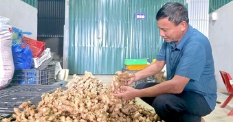 Người đưa rau quê vào siêu thị, tạo sinh kế cho hàng trăm hộ
