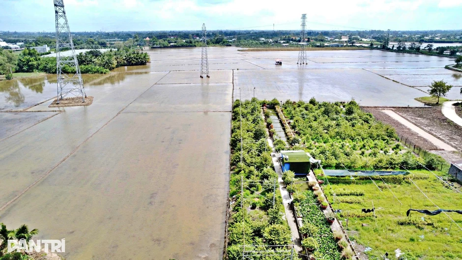 Người thợ hồ nghèo thành tỷ phú lúa giống, kiếm 5 tỷ đồng mỗi năm Người thợ hồ nghèo thành tỷ phú lúa giống, kiếm 5 tỷ đồng mỗi năm