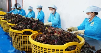 Người trẻ khởi nghiệp, đau đầu tự hỏi "đi sau, làm sao thành công?”
