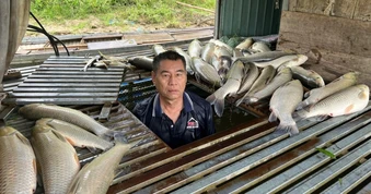 Nhận định nguyên nhân hơn 8,6 tấn cá lồng chết bất thường trên sông Lam