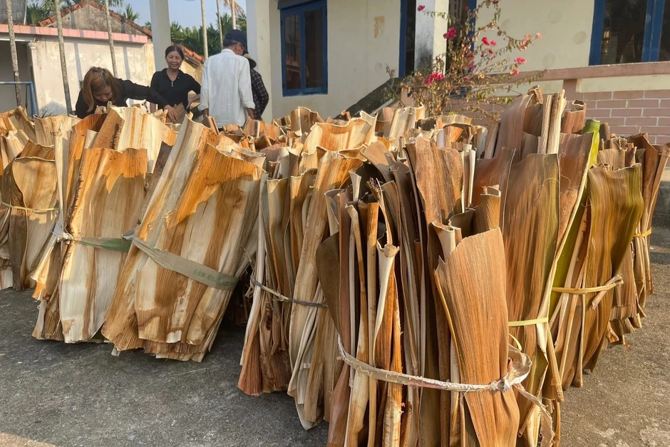 Nhặt mo cau bán kiếm hàng trăm nghìn đồng Nhặt mo cau bán kiếm hàng trăm nghìn đồng