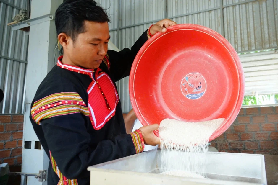 Nhiều lần trắng tay và hành trình trở thành tỷ phú của người đàn ông Jrai Nhiều lần trắng tay và hành trình trở thành tỷ phú của người đàn ông Jrai