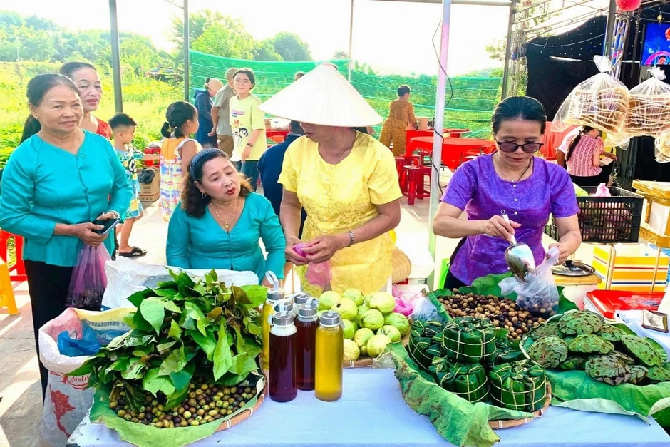 Nông dân thu lợi kép từ những cánh đồng kém hiệu quả Nông dân thu lợi kép từ những cánh đồng kém hiệu quả