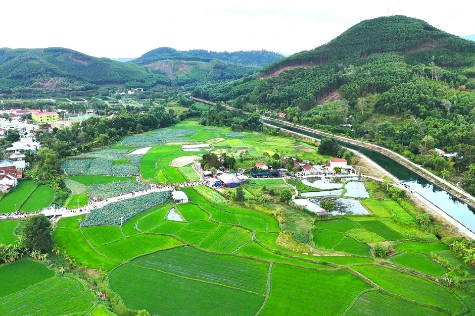Nông dân thu lợi kép từ những cánh đồng kém hiệu quả Nông dân thu lợi kép từ những cánh đồng kém hiệu quả