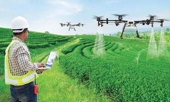 Nông nghiệp dẫn đầu mức lương trần CEO