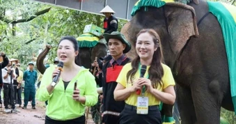 Nữ bí thư xã livestream "chốt" hàng trăm đơn, 6 container sầu riêng