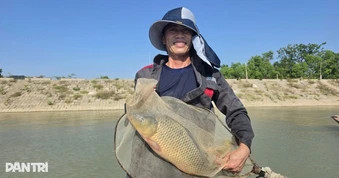 Nuôi cá lồng trên sông Lam, vợ chồng nông dân thu "quả ngọt"