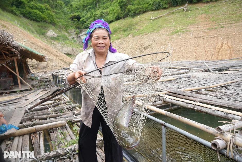 Nuôi cá trên lòng hồ thủy điện, nhiều hộ dân thu hàng trăm triệu đồng Nuôi cá trên lòng hồ thủy điện, nhiều hộ dân thu hàng trăm triệu đồng