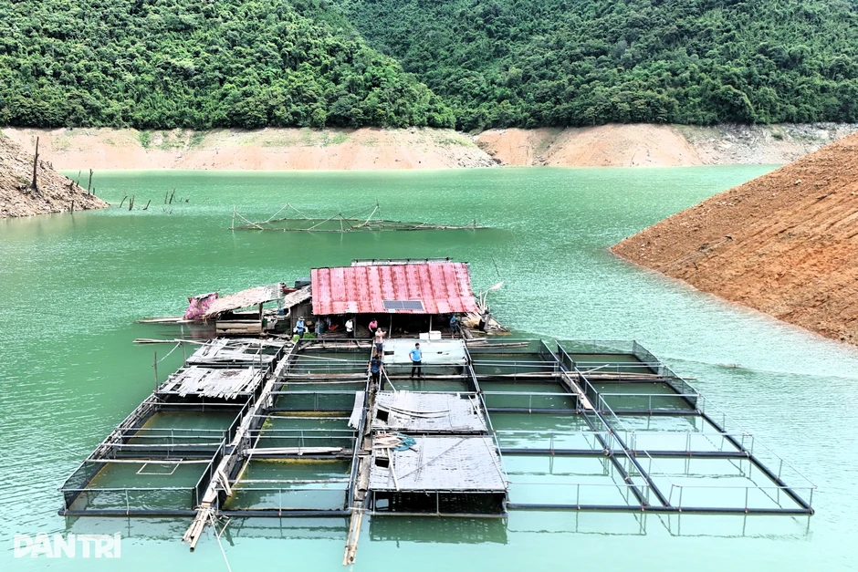 Nuôi cá trên lòng hồ thủy điện, nhiều hộ dân thu hàng trăm triệu đồng Nuôi cá trên lòng hồ thủy điện, nhiều hộ dân thu hàng trăm triệu đồng