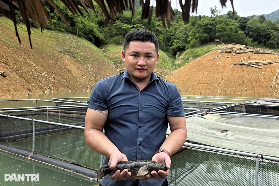 Nuôi cá trên lòng hồ thủy điện, nhiều hộ dân thu hàng trăm triệu đồng Nuôi cá trên lòng hồ thủy điện, nhiều hộ dân thu hàng trăm triệu đồng