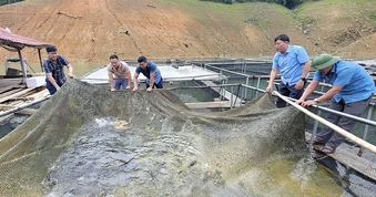 Nuôi cá trên lòng hồ thủy điện, nhiều hộ dân thu hàng trăm triệu đồng