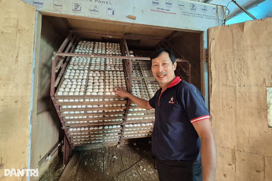 Quyết định mạo hiểm của người đàn ông mang lại nguồn thu 300 triệu đồng/năm Quyết định mạo hiểm của người đàn ông mang lại nguồn thu 300 triệu đồng/năm