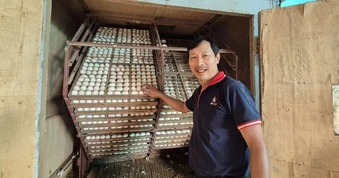 Quyết định mạo hiểm của người đàn ông mang lại nguồn thu 300 triệu đồng/năm