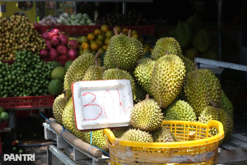 Sầu riêng miền Tây rớt giá còn 20.000 đồng/kg, nhà vườn điêu đứng Sầu riêng miền Tây rớt giá còn 20.000 đồng/kg, nhà vườn điêu đứng