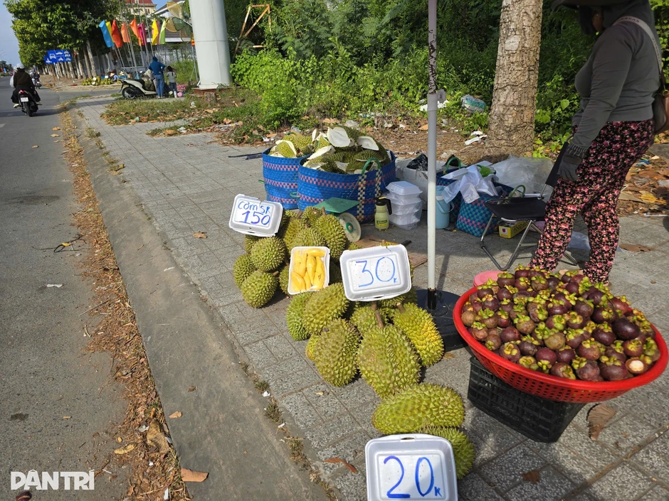 Sầu riêng miền Tây rớt giá còn 20.000 đồng/kg, nhà vườn điêu đứng Sầu riêng miền Tây rớt giá còn 20.000 đồng/kg, nhà vườn điêu đứng