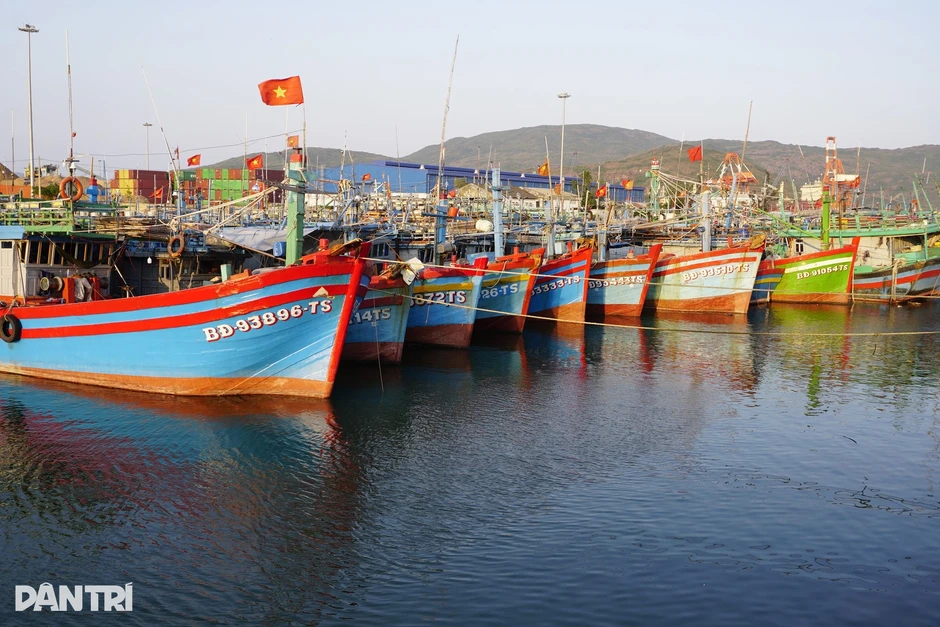 Siết tàu cá, kiểm soát 100% lượt xuất, nhập bến, quyết gỡ thẻ vàng IUU Siết tàu cá, kiểm soát 100% lượt xuất, nhập bến, quyết gỡ thẻ vàng IUU