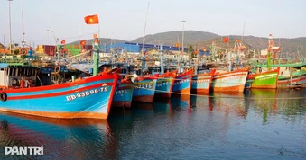 Siết tàu cá, kiểm soát 100% lượt xuất, nhập bến, quyết gỡ thẻ vàng IUU