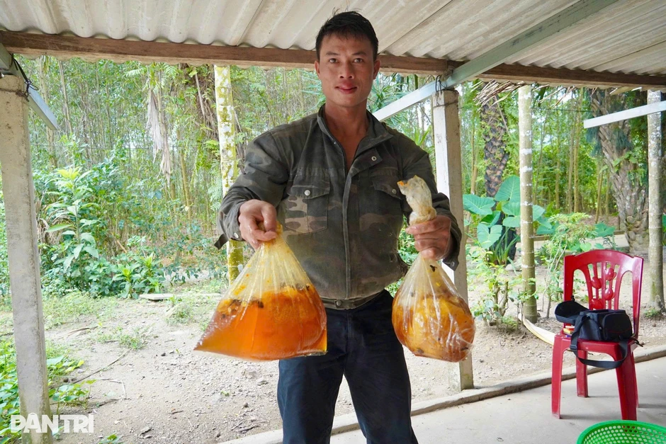 Theo chân thợ rừng săn mật trên cây cao hàng chục mét giữa Trường Sơn Theo chân thợ rừng săn mật trên cây cao hàng chục mét giữa Trường Sơn