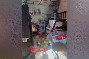 Thợ dọn nhà kể chuyện ẩn giấu trong những căn nhà "bị lãng quên" Thợ dọn nhà kể chuyện ẩn giấu trong những căn nhà "bị lãng quên"