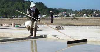 Tin vui với những người “làm một ngày ăn cả năm”
