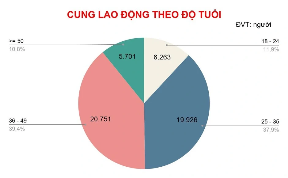 TP.HCM: Người 36 - 49 tuổi tìm việc nhiều nhất nhưng doanh nghiệp không mặn mà TP.HCM: Người 36 - 49 tuổi tìm việc nhiều nhất nhưng doanh nghiệp không mặn mà