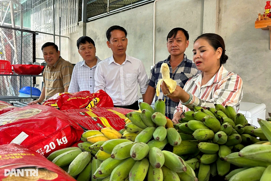 Trắng đêm canh "chuyện yêu" của đàn chồn, người phụ nữ thu tiền tỷ Trắng đêm canh "chuyện yêu" của đàn chồn, người phụ nữ thu tiền tỷ