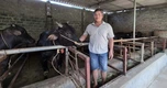 Tranh thủ lúc nông nhàn, nhiều hộ dân kiếm vài trăm triệu đồng mỗi năm