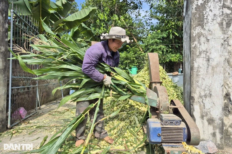 Tranh thủ lúc nông nhàn, nhiều hộ dân kiếm vài trăm triệu đồng mỗi năm