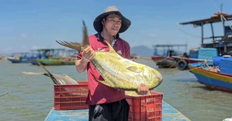 Trúng đậm mẻ cá nhóm "tứ quý", ngư dân thu về 300 triệu đồng