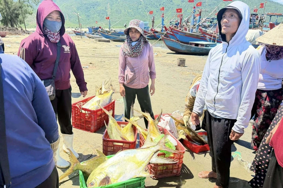 Trúng đậm mẻ cá nhóm "tứ quý", ngư dân thu về 300 triệu đồng Trúng đậm mẻ cá nhóm "tứ quý", ngư dân thu về 300 triệu đồng