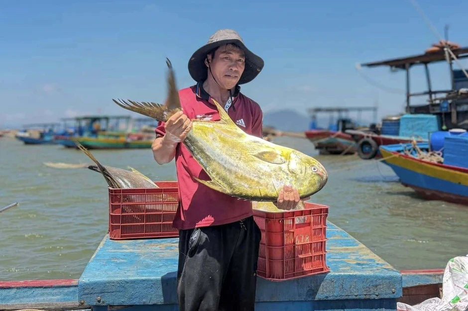 Trúng đậm mẻ cá nhóm "tứ quý", ngư dân thu về 300 triệu đồng Trúng đậm mẻ cá nhóm "tứ quý", ngư dân thu về 300 triệu đồng